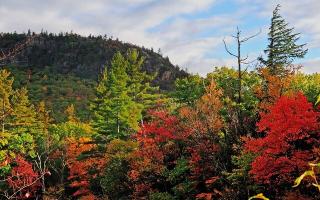Обои № 575015 autumn