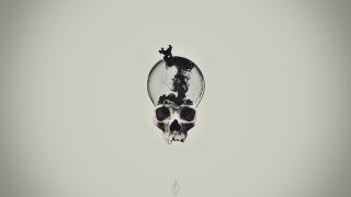 Обои № 591895 skull