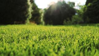 Обои № 625919 nature