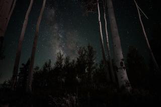 Обои № 630285 dark