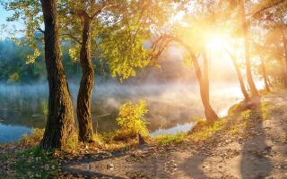 Обои № 630574 fog