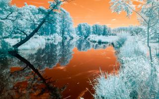 Обои № 630639 nature