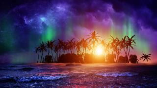 Обои № 631265 nature