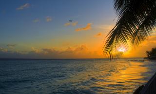Обои № 631901 barbados