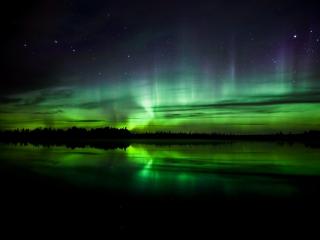Обои № 632994 nature