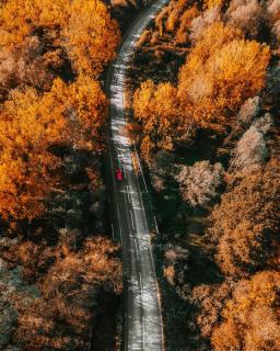 Обои № 633682 autumn