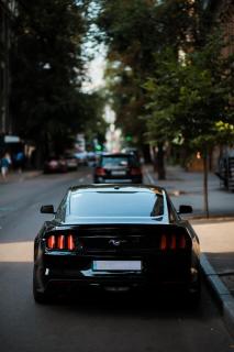 Обои № 633908 mustang