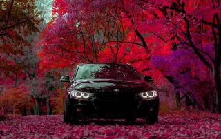 Обои № 634089 bmw
