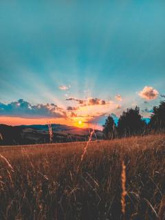 Обои № 635025 clouds