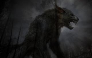 Обои № 635362 dark