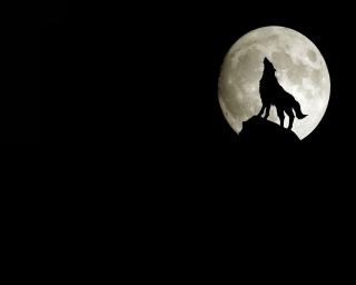 Обои № 635810 moon