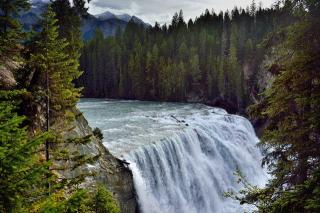 Обои № 635954 nature