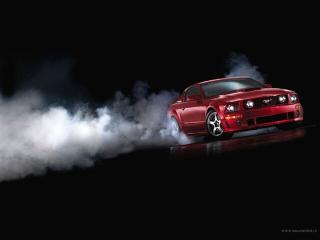 Обои № 636744 mustang