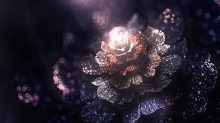 Обои № 637220 fractal