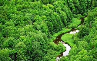 Обои № 637886 nature