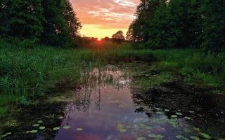 Обои № 639332 landscape