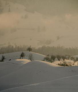Обои № 640458 landscape
