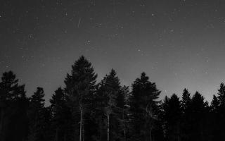 Обои № 640897 bw