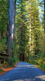 Обои № 640985 road
