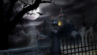 Обои № 641474 dark