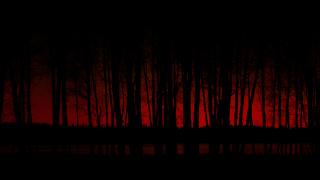 Обои № 641563 dark