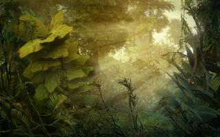 Обои № 641596 nature
