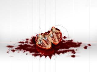 Обои № 642276 love