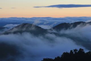 Обои № 642393 fog