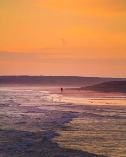 Обои № 642679 surf