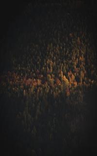 Обои № 642952 dark