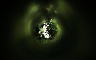 Обои № 643106 background