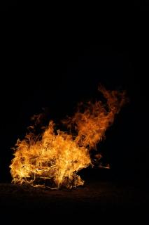 Обои № 644163 bonfire