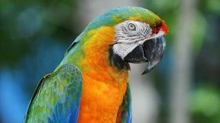 Обои № 644503 nature