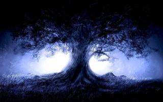 Обои № 644741 tree
