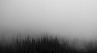 Обои № 644989 black