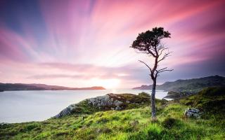 Обои № 645188 scotland