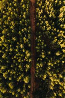 Обои № 645641 nature