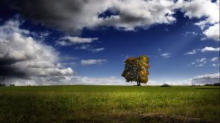 Обои № 647816 nature