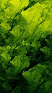 Обои № 648070 green