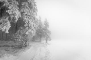 Обои № 648429 white