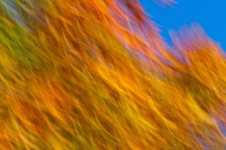 Обои № 649167 texture