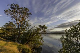 Обои № 649450 nature