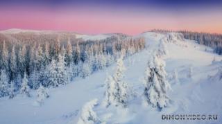 zima-sneg-derevia-peizazh-gory-elki