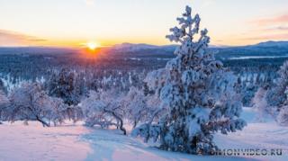 zima-sneg-derevia-peizazh