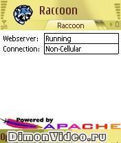 Raccoon