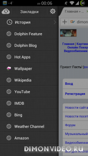 Dolphin Browser