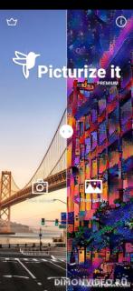 Picturize it-Ваши фотографии становятся искусством