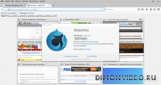 Waterfox.Current