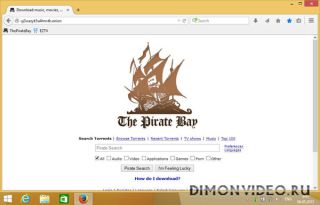 PirateBrowser