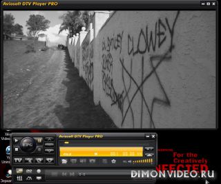Aviosoft DTV Player Professional